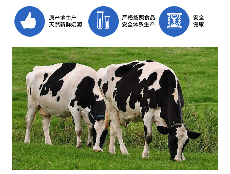 原味奶饮品